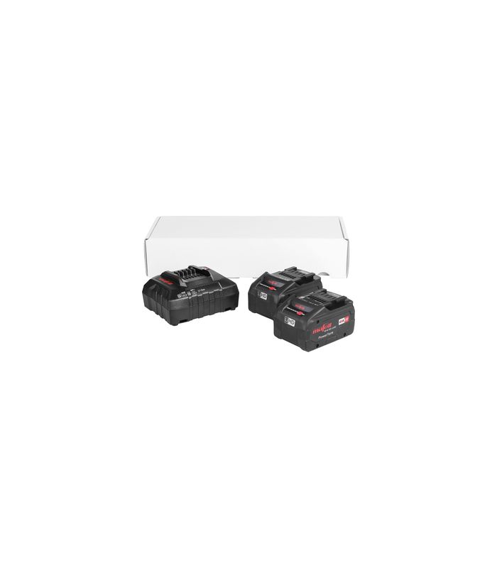 Power-Set 2: 2x 18 M 99 LiHD + APS M
