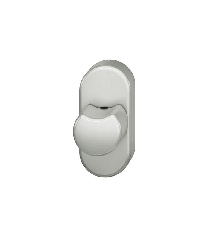 Riegelolive 03 0418 40mm,oval,naturfarben eloxiert