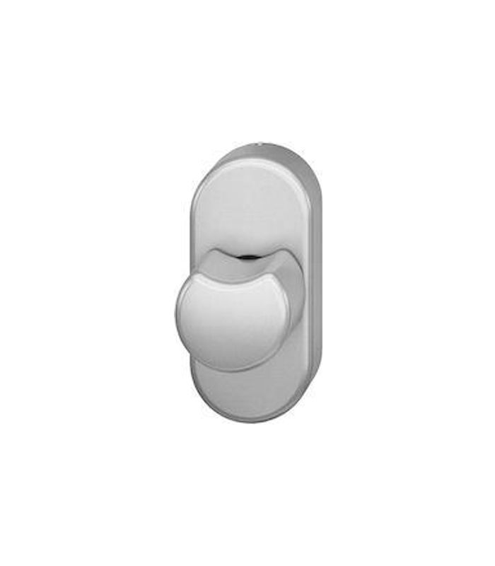Riegelolive 03 0418 40mm,oval,edelstahl matt