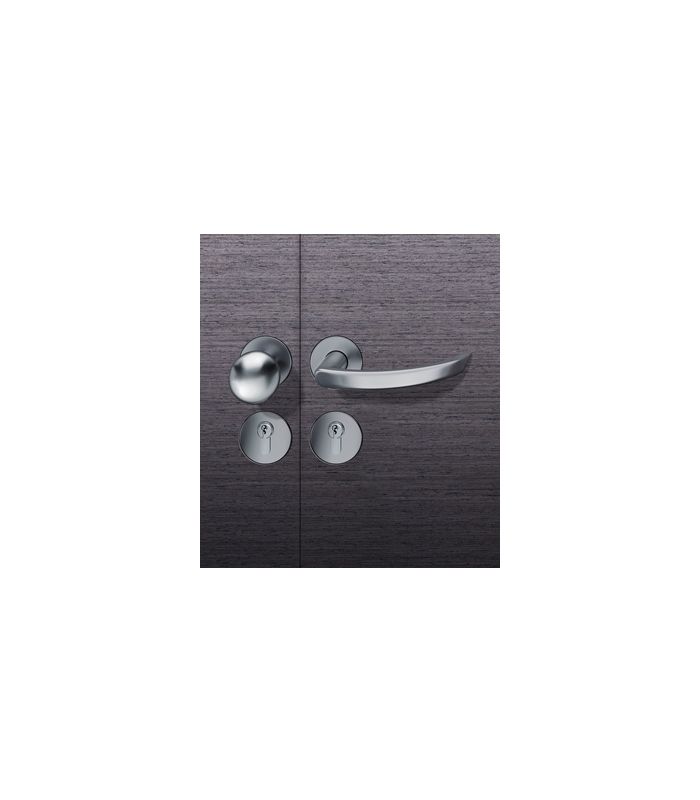 Wechselgarnitur 72 1119 Rosette rund ,PZ,8,DL,ER,TS45-54