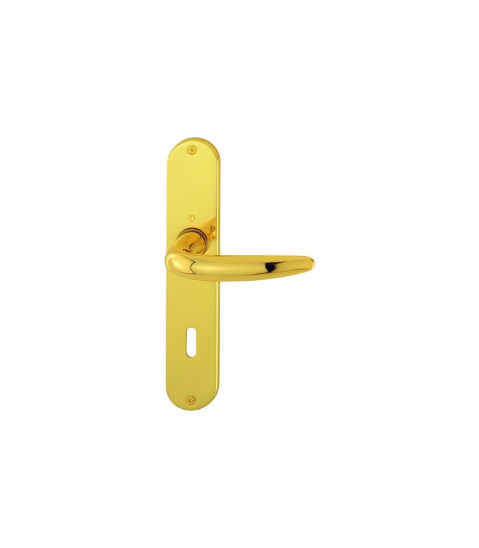 HOPPE Drückergarnitur Atlanta M1530/302, Langschild, oval, Buntbart gelocht, Entfernung 72mm, Vierkant 8mm, Türstärke 37 - 47mm, Befestigungstechnik ohne Stütznocken, gelb, messing poliert, CORE