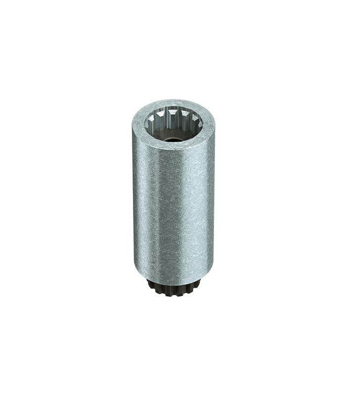 dormakaba Achsverlängerung ED 100/250, mit Flachkonus, 60mm, silberfarbig verzinkt