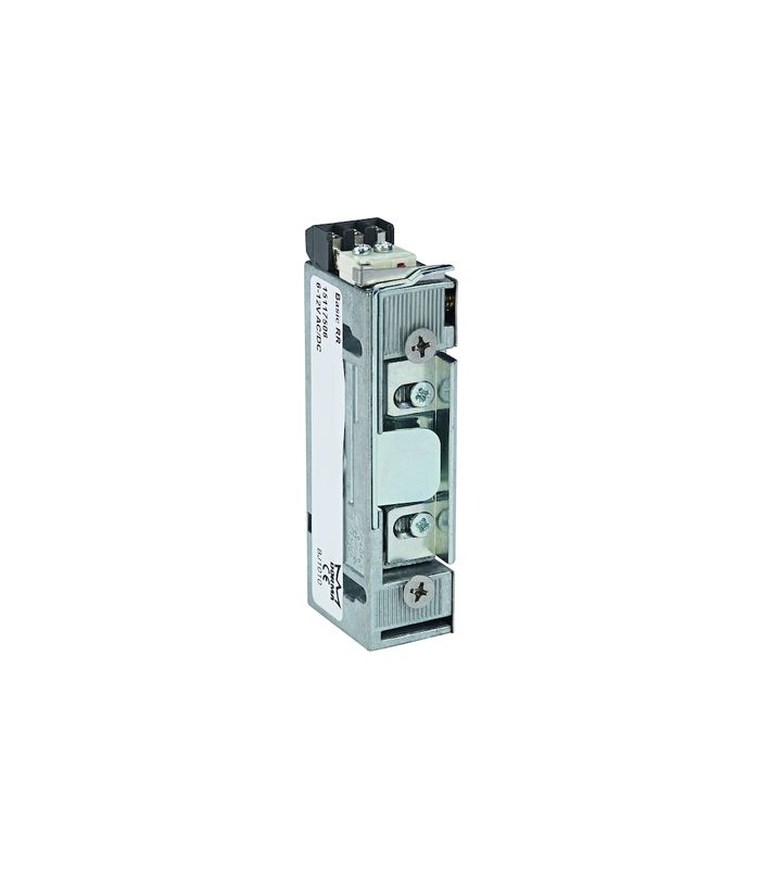 Elektro-Türöffner, mit Rückmeldekontakt, Basic RR, 6-12V AC/DC, DL-R
