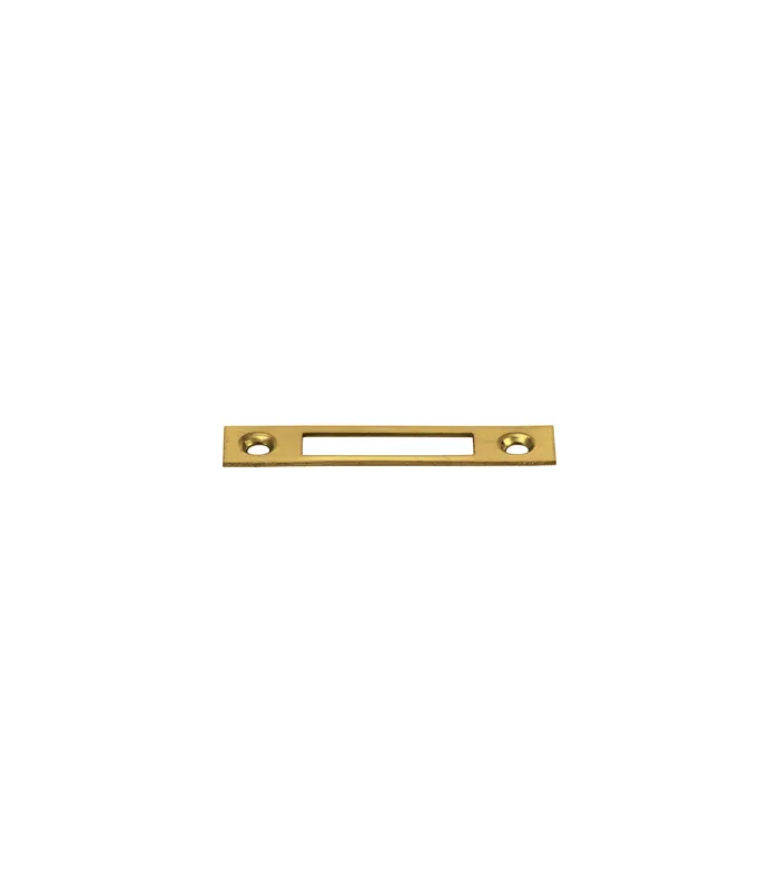 Schließblech zu Möbel -Schloss vermess. 60 X 12 mm (normal) 2556